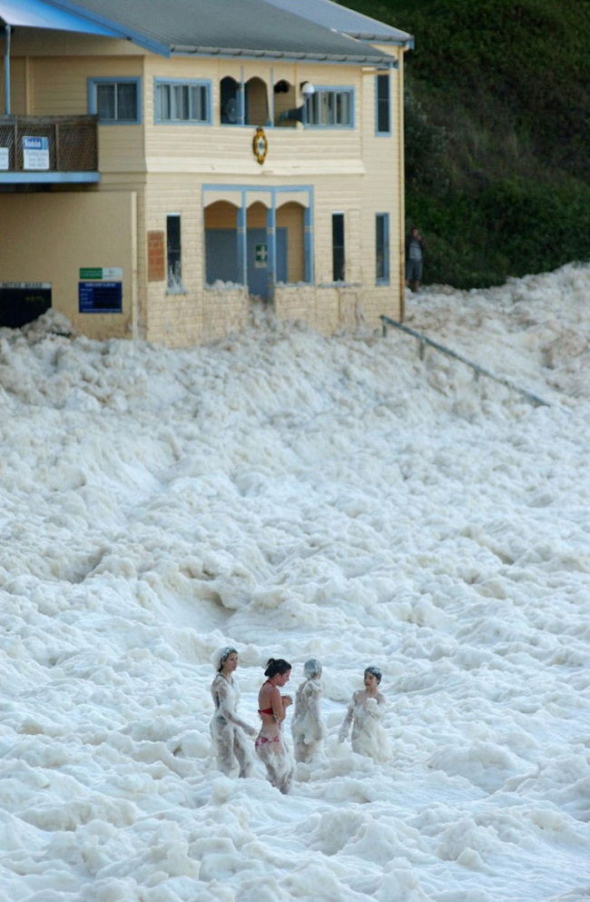 Cappuccino coast